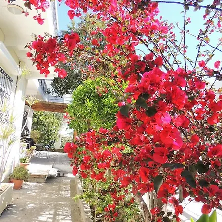Holiday home Kecharitomene's *